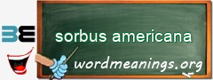 WordMeaning blackboard for sorbus americana